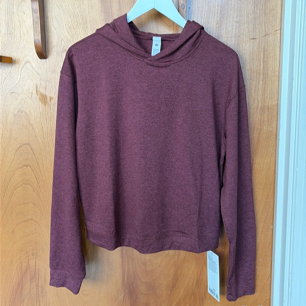 Lulu Soft Jersey Hoodie